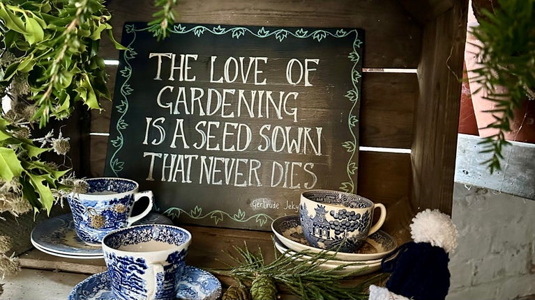 Handmade signs adorn the Glasshouse